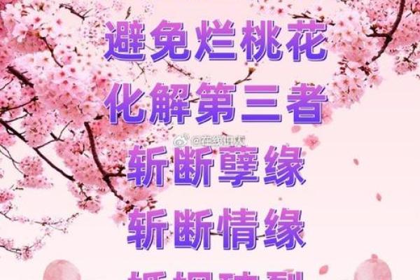 烂桃花缠身？揭秘家居风水四大禁忌，赶紧避开！