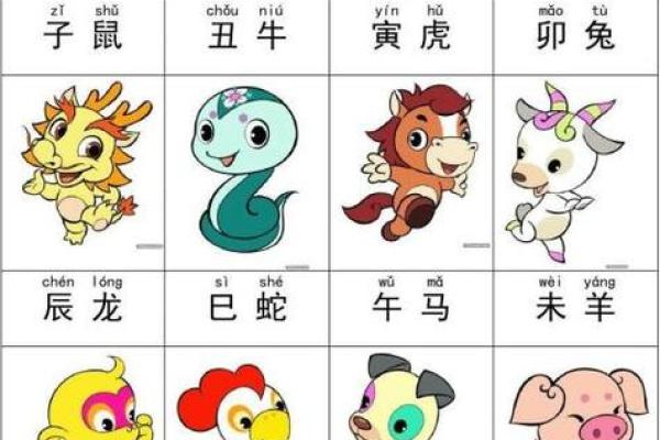 子丑寅卯，揭秘十二生肖的神秘命运轨迹