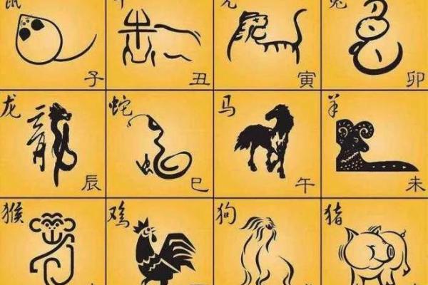 子丑寅卯，揭秘十二生肖的神秘命运轨迹