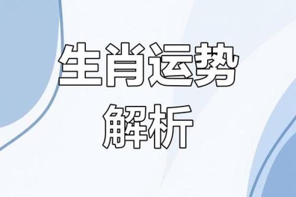 生肖命理大揭秘：如何通过生肖找到你的灵魂伴侣？
