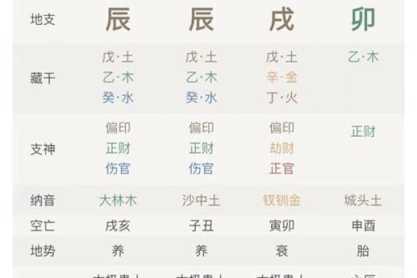 徐姓五行属什么？命理学中的奥秘解析