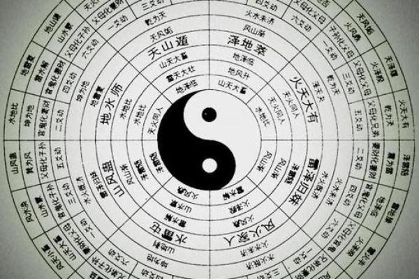 地理与风水学的奥秘：如何通过自然环境改善居住运势