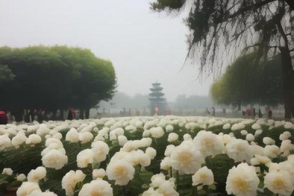 踏青赏花寻春意，清明时节寄哀思