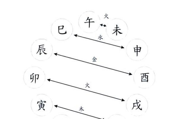 十二地支联动，乙木天干运势大揭秘