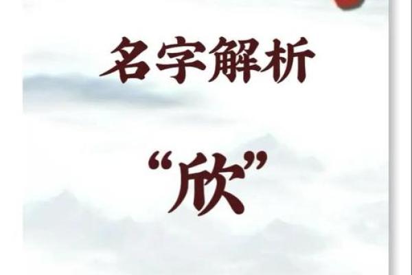 起名公司测名服务解析：为您的品牌定制完美名字
