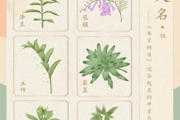 竹青寓意深远，探索名字背后的文化内涵