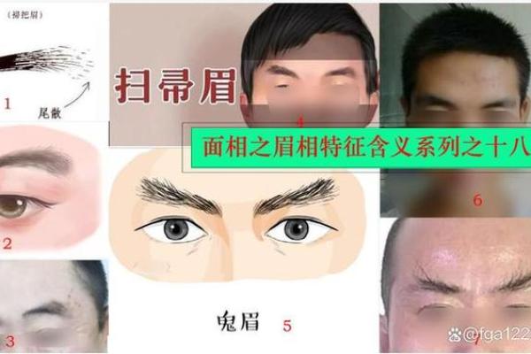 面相解密：探寻命中姻缘的神秘面纱