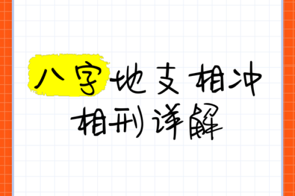 龙争虎斗：地支相冲的激情碰撞