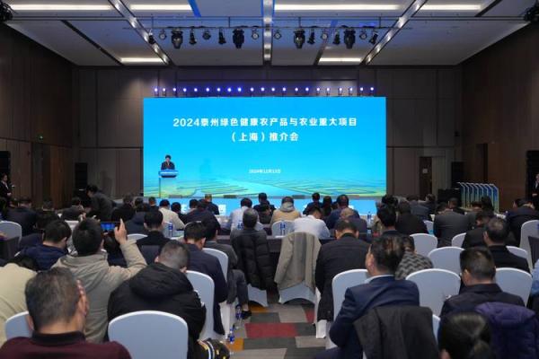 泰字助力品牌崛起：如何为公司起一个有泰字的名字