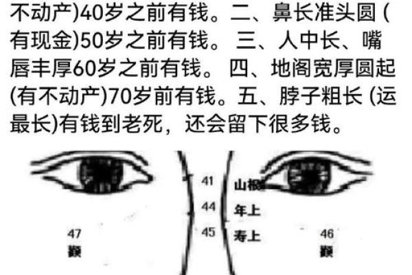 鼻子油腻面相，揭秘财运与运势的秘密！
