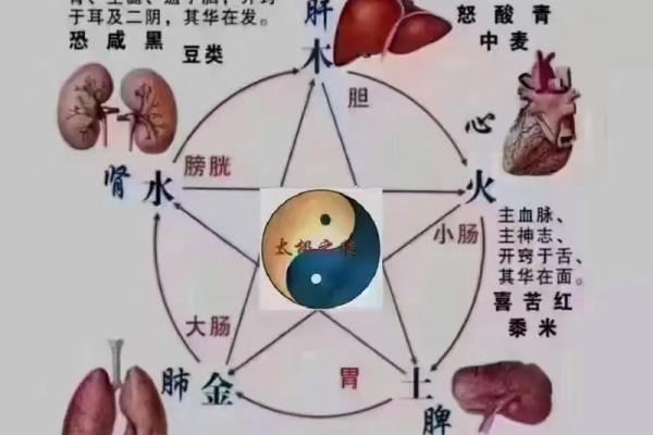 五行属木的植物与健康养生