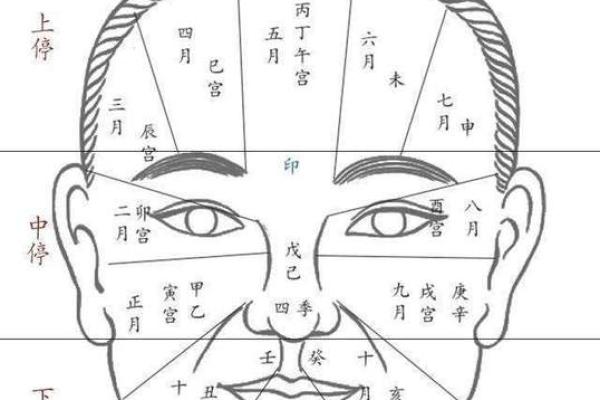 印堂肉痣相术详解：掌握命运，从识痣开始！