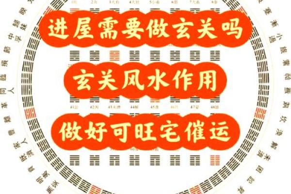 墙内风水学：打造和谐居家环境的秘密技巧