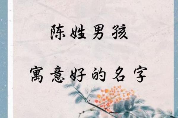 陈新颖：星辰璀璨，创新无限，未来可期之姓名运势解读