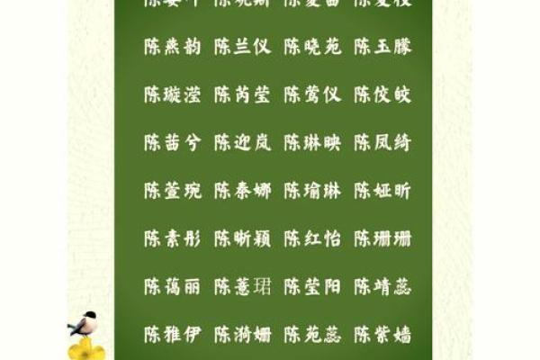 陈新颖：星辰璀璨，创新无限，未来可期之姓名运势解读