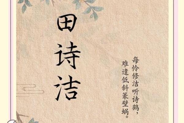粲字寓意，名字的韵味