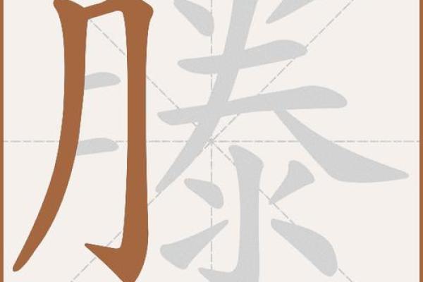滕字在五行中的象征意义