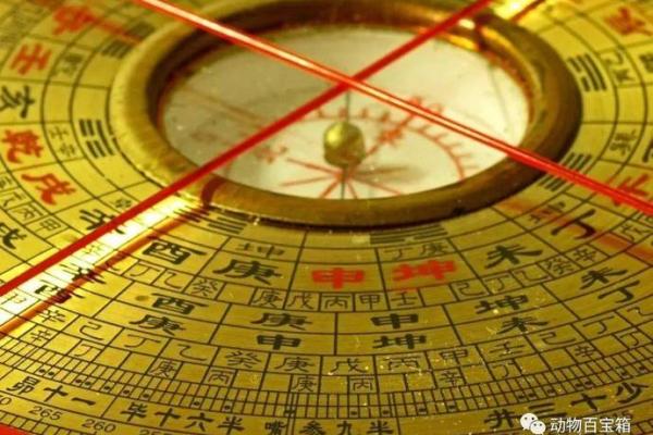 办公室风水画像，提升运势的神秘力量