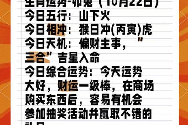 兔年旺运指南：这些风水颜色让你财源滚滚来！