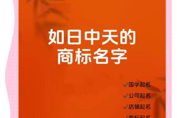 如何通过商标和公司名称提升品牌影响力