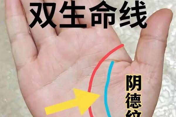 手相揭秘：父缘深厚，财运亨通的命理密码