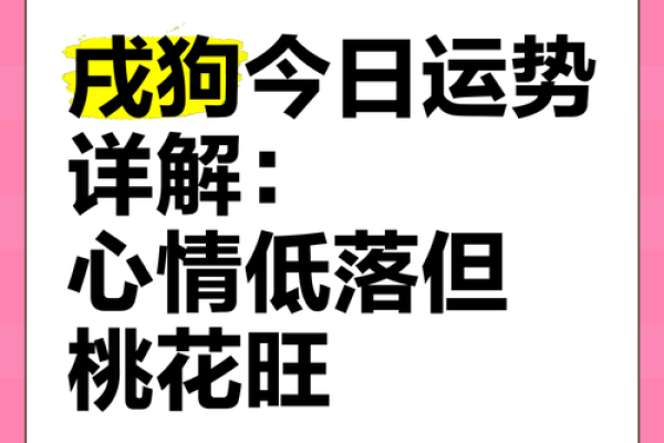 寅午卯桃花运势旺，快来寻找你的幸福吧