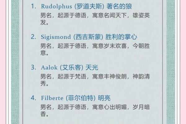 Ryder的英文名魅力：名字背后的帅气故事