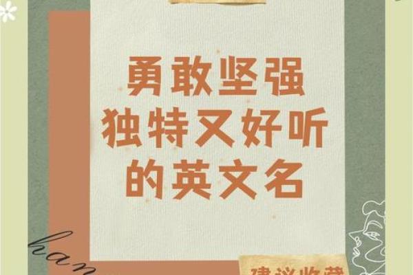 Ryder的英文名魅力：名字背后的帅气故事