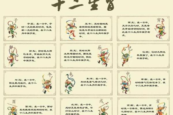 肖姓宝宝取名宝典：创意与传统的融吿