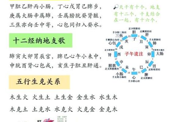 古代智慧结晶：天干地支如何为你预测命运？