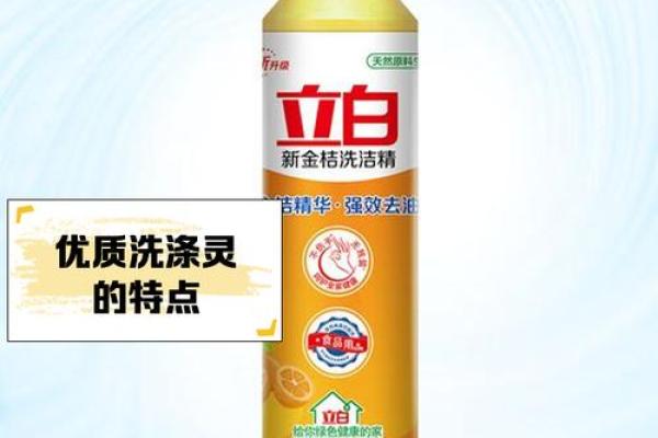 洗涤公司创意名称大全 提升品牌影响力的最佳选择