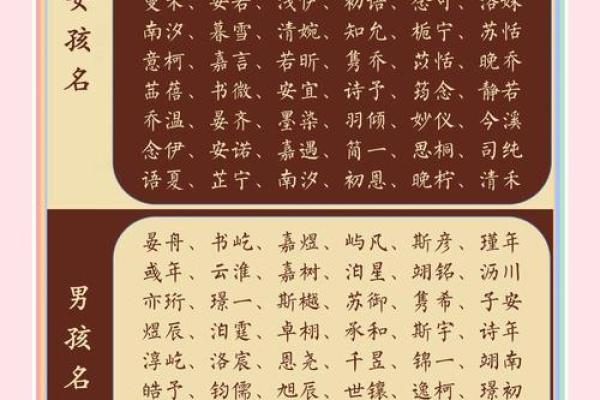 欢庆猪年，杨宝宝起名妙招分享