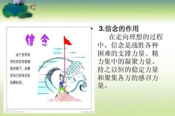 探索王子晨背后的故事与人生哲学