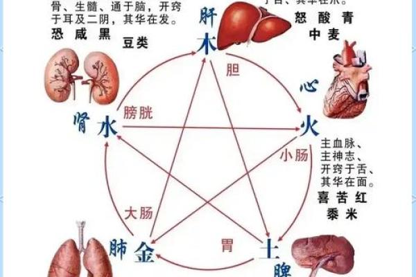 昌子辈姓名搭配技巧：揭秘名字中的五行相生相克
