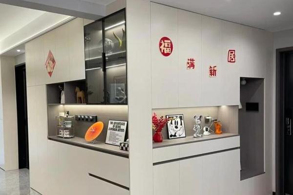 亮面柜体，家居风水新宠，瞬间提升家居品味