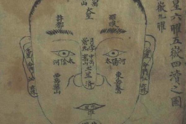 发怒鼻根凹陷，面相之谜揭晓