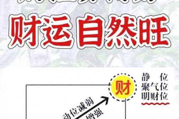 家居风水秘籍：盘点最受推崇的名家风水布局