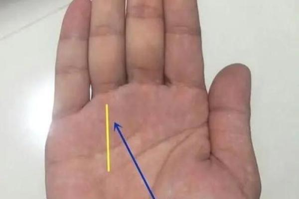 手中藏秘密，美人环手相教你识财运！