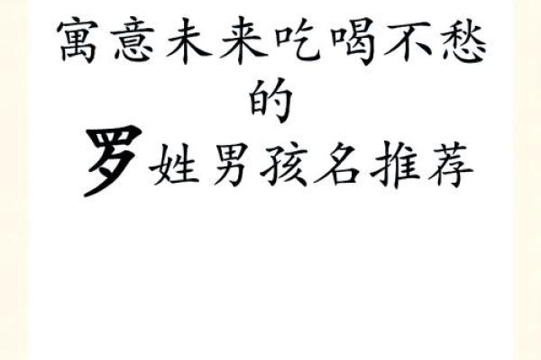 男孩名字带洛的创意：独特韵味，传承文匿