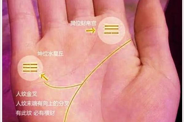 看手相识财运：揭秘偏财纹的秘密！