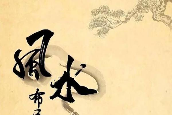 风水大师亲授：四川家居风水竞赛精选技巧分享