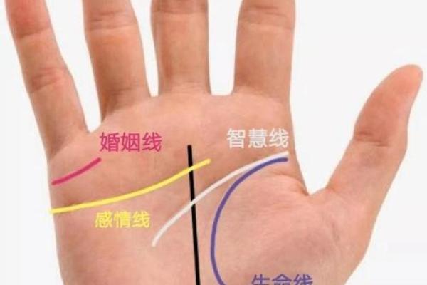 生命倒数，手相揭示最后奥秘！