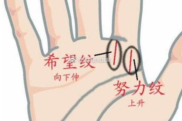 生命倒数，手相揭示最后奥秘！