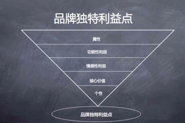 大同公司命名策略与品牌塑造的关键因素