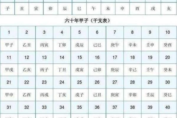 天干地支奥秘揭秘：八字预测，人生运势尽在掌握