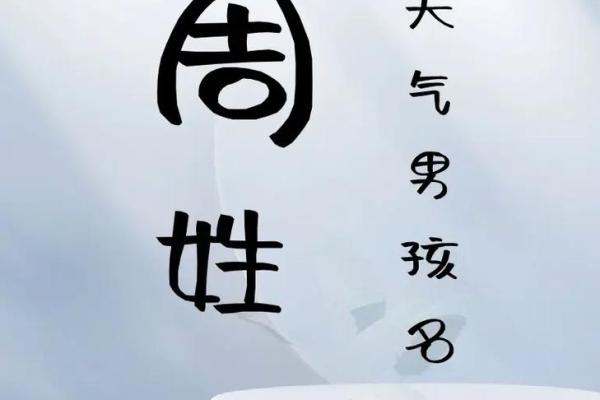 周名字：高领周，领航人生，运势无限