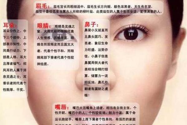 少妇好色面相：揭秘诱惑力MAX的秘密！