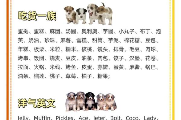狗年宝宝起名：宏伟风采