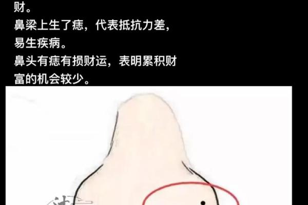 鼻翼丰隆财运旺：面相解析财运与鼻子之间的关系