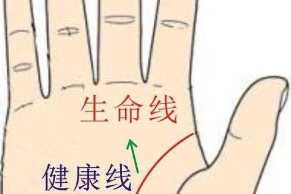 手相中的健康线，女性健康状态的秘密指南